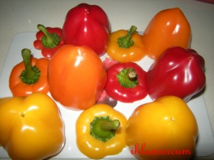DSCN2536