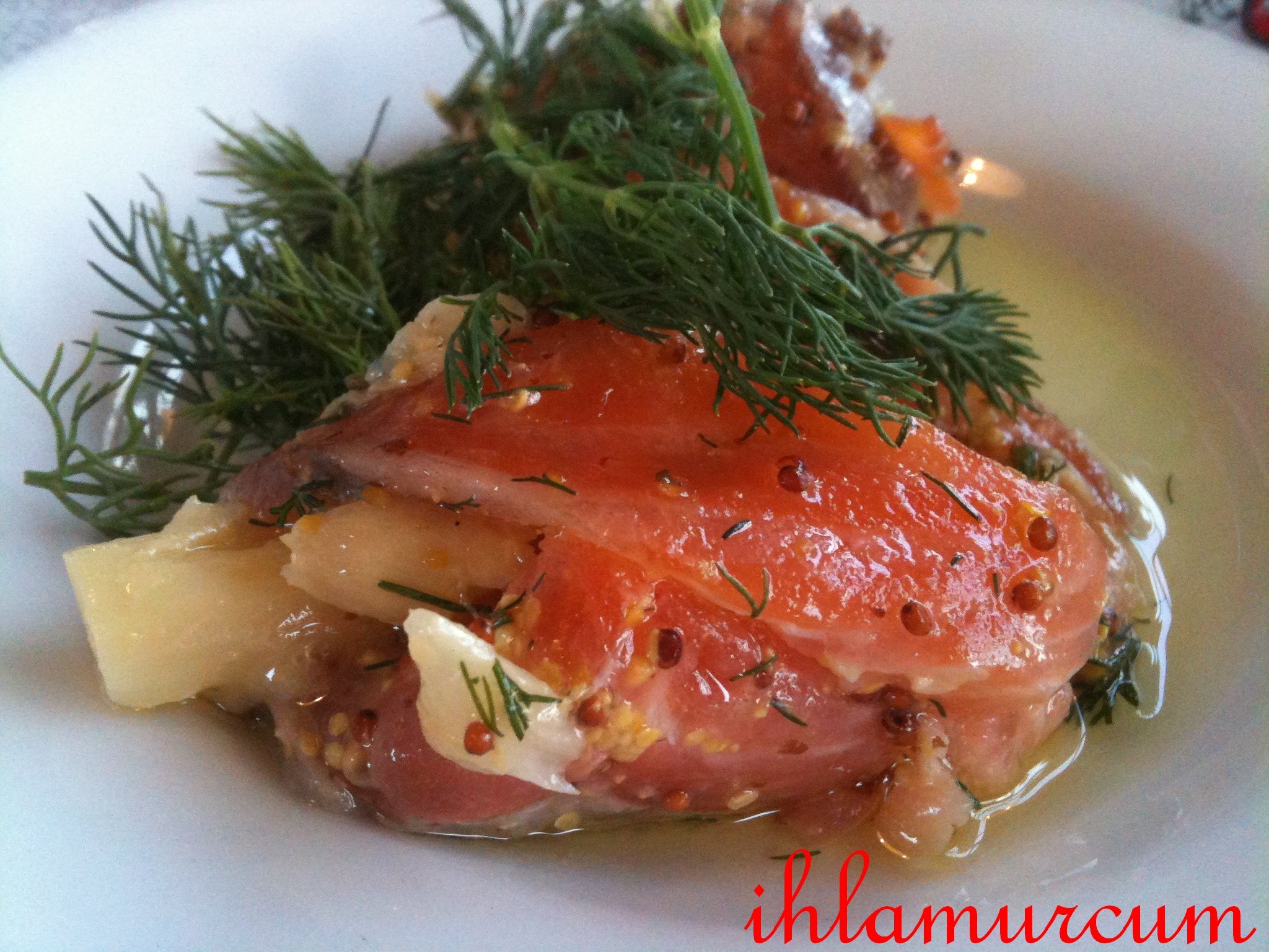 Kuşkonmazlı Somon Sarma